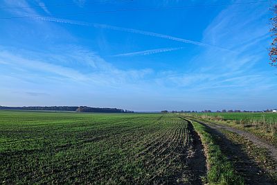 Coaching, Vertrieb, Beratung, Sachsen