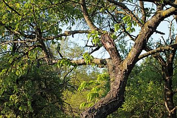 Coaching, Marketing, Beratung, Sachsen