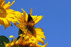 Marketing, Kongress, Tagung, Leipzig