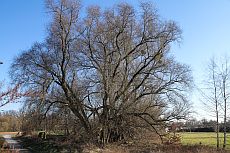 Marketing, Beratung, Leipzig