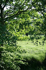 Männer, Frauen, Stress, Beratung, Coaching, Coach