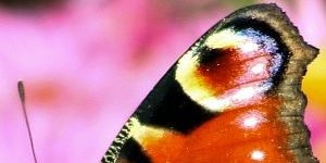 Coaching in Leipzig oder Eilenburg