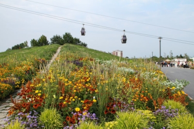 IGA Berlin 2017 - Blumen vor Seilbahn