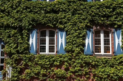 Ueckermünde - Hausfassade mit Fenstern und Idylle