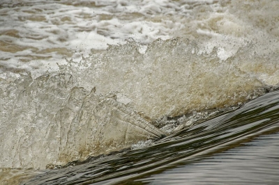 Kraftvolle Orte in Eilenburg – Detail am Bobritzer Damm